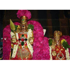 Lord Murugan Devasena Thirukalayanam at Tiruparankundram